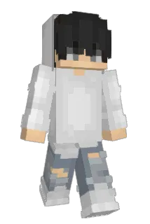 Nicibro Minecraft avatar full body