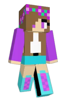 NickD511 Minecraft avatar full body