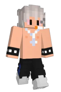 NickEstrelinha Minecraft avatar full body