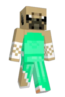 Nickb25 Minecraft avatar full body