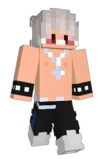 Nickddscarhard_ Minecraft avatar full body
