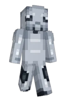 Nickerdoodle885 Minecraft avatar full body