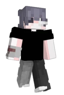 Nickzadas Minecraft avatar full body