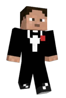 Niclas2707 Minecraft avatar full body