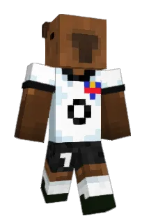 Nicolushh_ Minecraft avatar full body