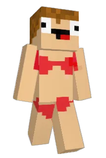 NidNitro Minecraft avatar full body