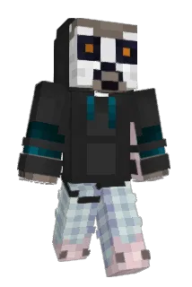 NieMogeTeraz Minecraft avatar full body