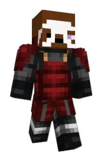 Nienart Minecraft avatar full body