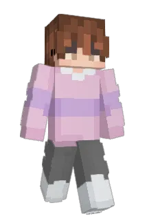 NiffSchniff Minecraft avatar full body