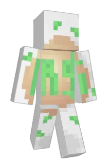 Nifty2000 Minecraft avatar full body