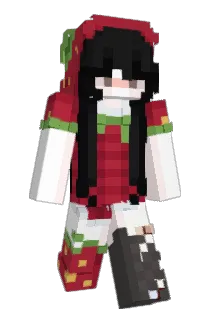 NightFury0626 Minecraft avatar full body