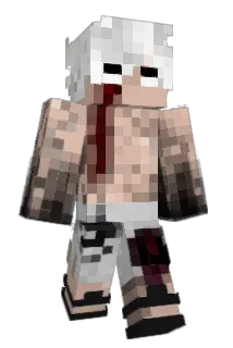 NightSuns Minecraft avatar full body