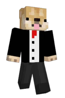 Nightfall3 Minecraft avatar full body
