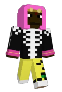NigoHilfiger Minecraft avatar full body