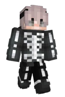 Niixi420 Minecraft avatar full body