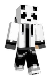 NijaCool Minecraft avatar full body