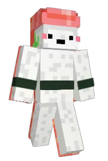 NikSushi Minecraft avatar full body
