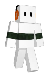 NikkoSama Minecraft avatar full body