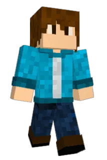 Niklas1313 Minecraft avatar full body
