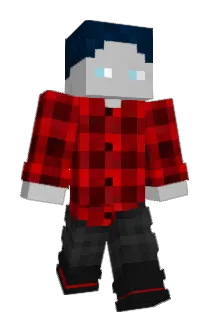 Niklas2019 Minecraft avatar full body