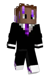 Niklas203 Minecraft avatar full body