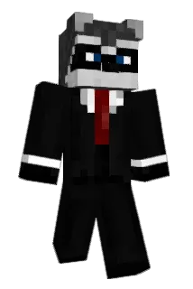 NiklasZ2003 Minecraft avatar full body
