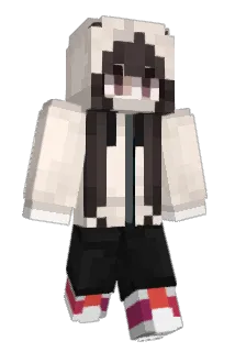 Nikllexx Minecraft avatar full body