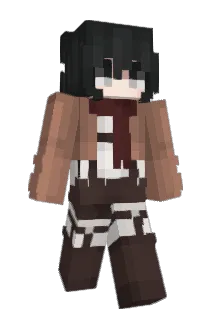 Nikondeah Minecraft avatar full body