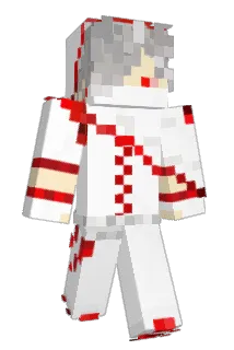 Niles_59351 Minecraft avatar full body