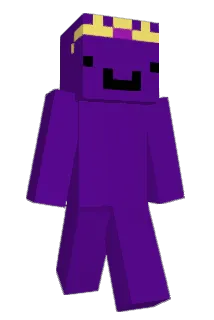 Nilis222 Minecraft avatar full body