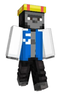 Nils_110 Minecraft avatar full body