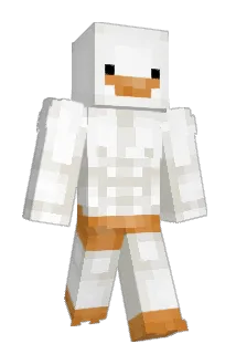 Nimzahc Minecraft avatar full body
