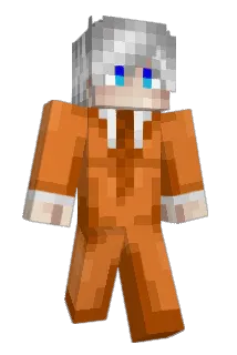 NinJan208 Minecraft avatar full body