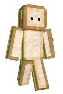 Ninaz Minecraft avatar full body