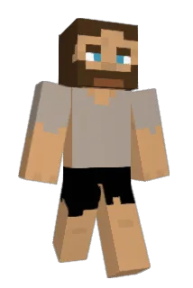 Ninboyko Minecraft avatar full body