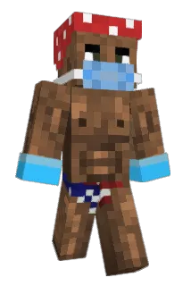 Nine_ss9 Minecraft avatar full body