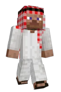 Ninebooch Minecraft avatar full body