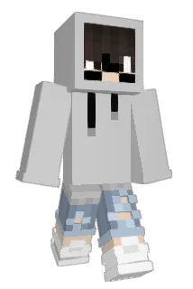 Ninehoy Minecraft avatar full body