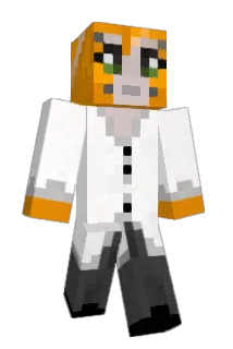 Niner0812 Minecraft avatar full body