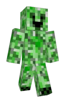 Niners11 Minecraft avatar full body