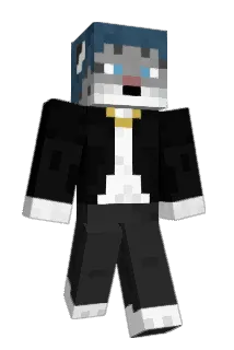 Nines91 Minecraft avatar full body