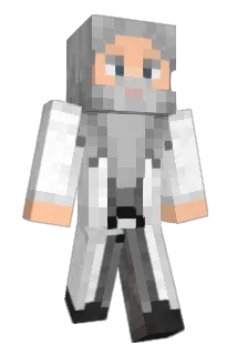 Ninja0132 Minecraft avatar full body