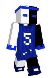NinjaBladeX Minecraft avatar full body