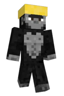 NinjaFamily559 Minecraft avatar full body