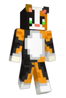 NinjaFrankieGun Minecraft avatar full body