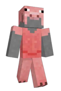 NinjaGamerI Minecraft avatar full body