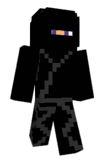 NinjaInUrPC Minecraft avatar full body