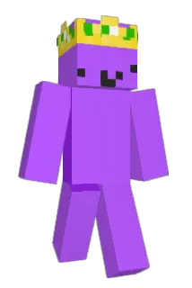 NinjaJr5 Minecraft avatar full body