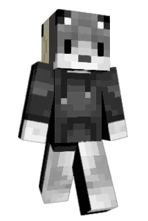 NinjaWolf1234 Minecraft avatar full body