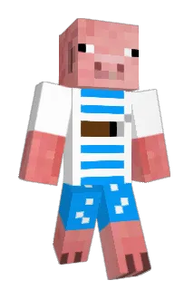 Ninja_Piggu Minecraft avatar full body